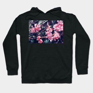 Pink Nerium oleander flower Hoodie